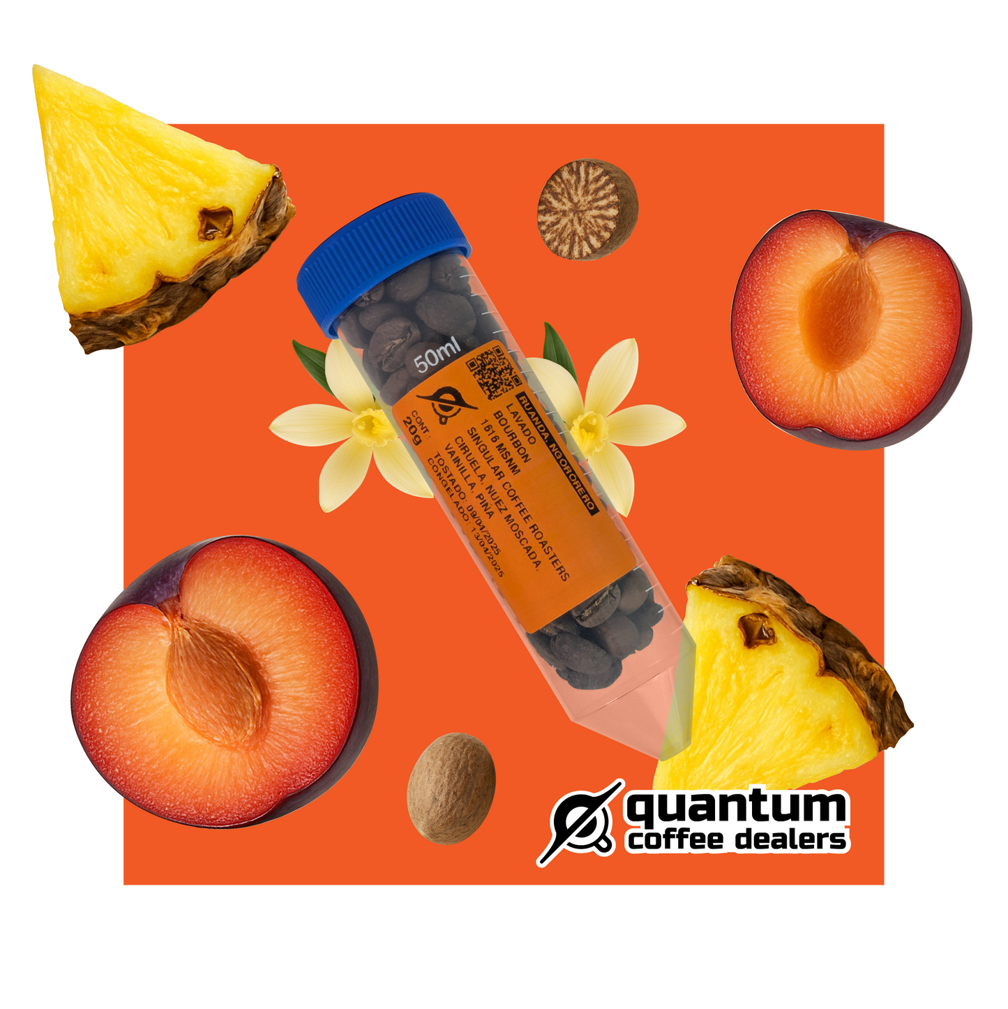 Ruanda, Ngororero. Proceso Lavado. Singular Coffee Roasters (20g)