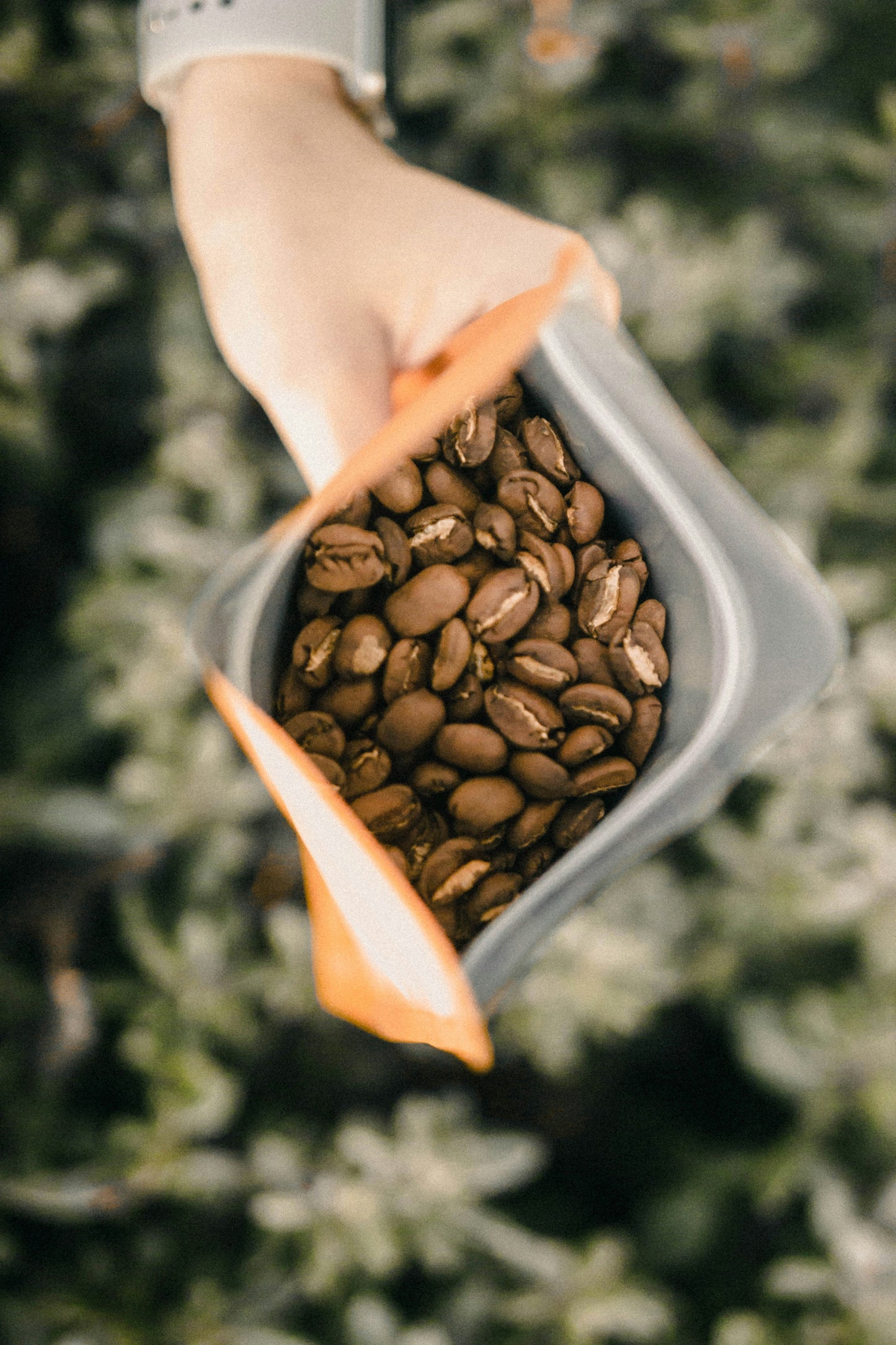 Q Coffee Club - Tasting e Introducción al Café de Especialidad.