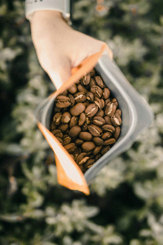 Q Coffee Club - Tasting e Introducción al Café de Especialidad.